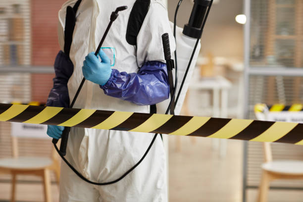 Professional Sewage Cleanup technician working in Wolfeboro, NH